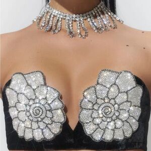 Santa brands diamond bra NWT